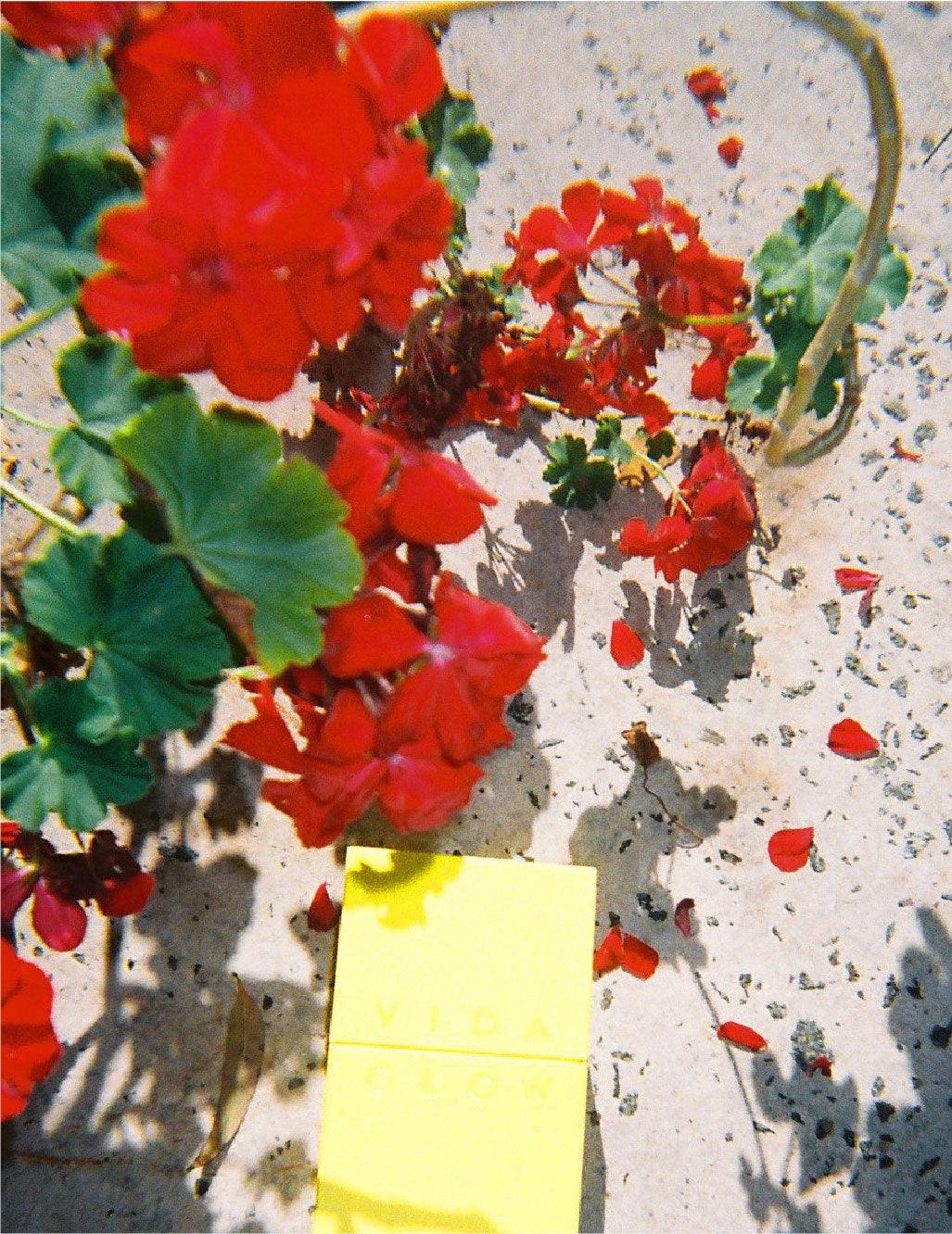 植物性美容。什么是素食胶原蛋白？素食胶原蛋白有用吗？